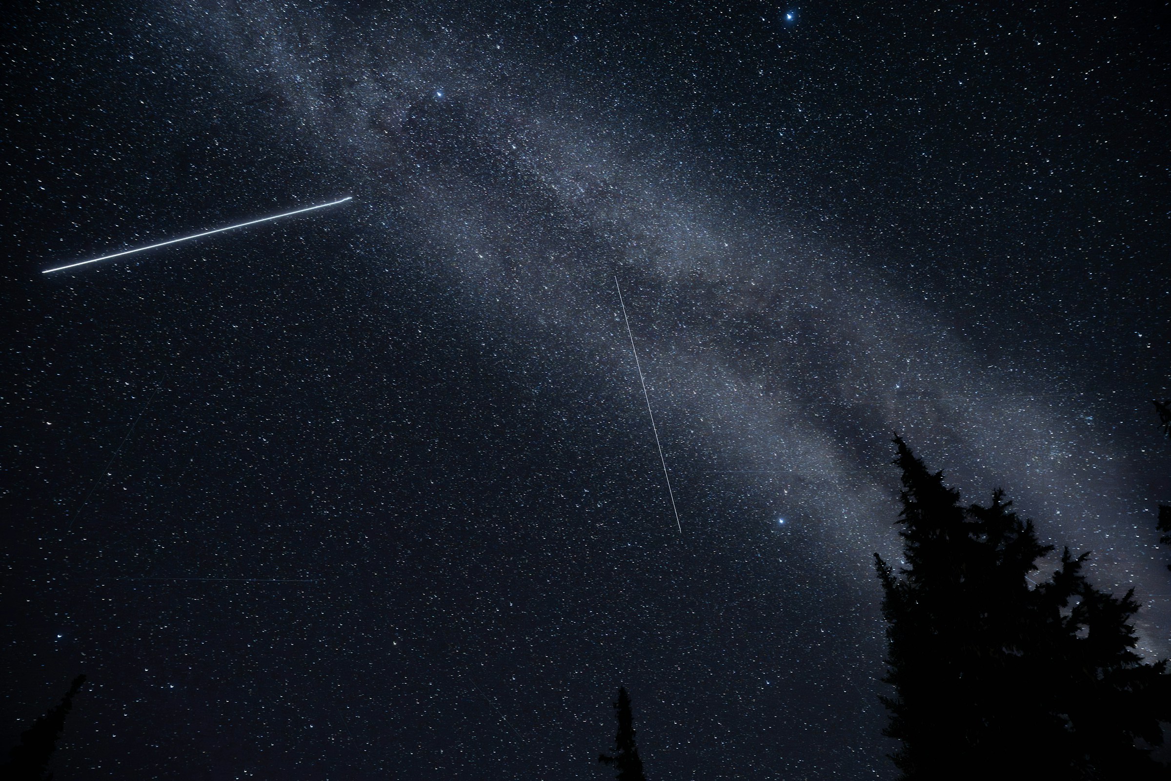 Night sky above trees