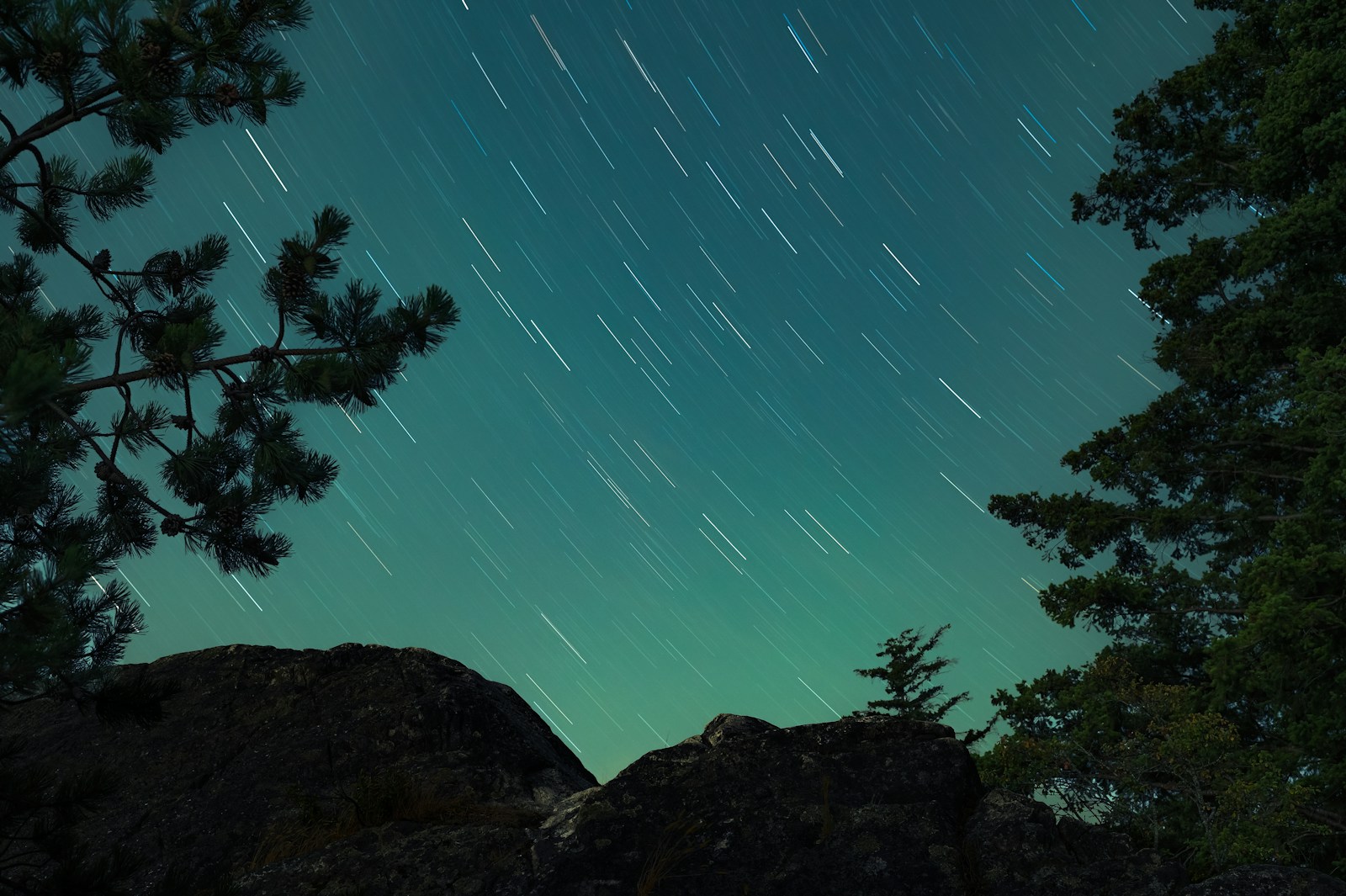 Star trails